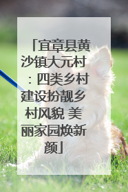 宜章县黄沙镇大元村：四类乡村建设扮靓乡村风貌 美丽家园焕新颜