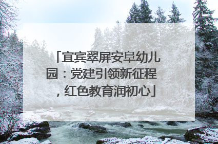 宜宾翠屏安阜幼儿园：党建引领新征程，红色教育润初心