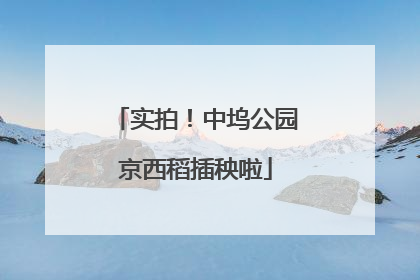 实拍！中坞公园京西稻插秧啦