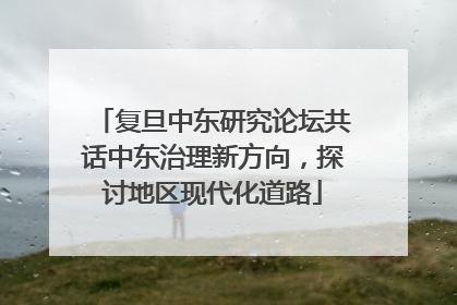 复旦中东研究论坛共话中东治理新方向，探讨地区现代化道路