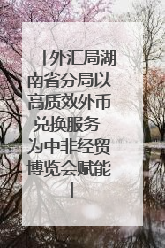 外汇局湖南省分局以高质效外币兑换服务 为中非经贸博览会赋能
