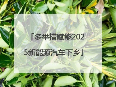 多举措赋能2025新能源汽车下乡