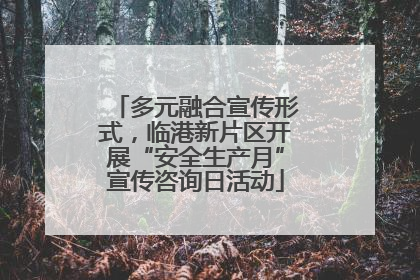 多元融合宣传形式，临港新片区开展“安全生产月”宣传咨询日活动