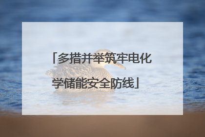 多措并举筑牢电化学储能安全防线