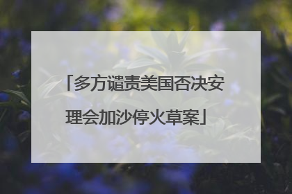 多方谴责美国否决安理会加沙停火草案