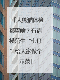 大熊猫体检都查啥？有请模范生“七仔”给大家做个示范