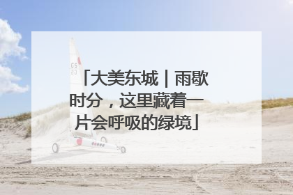 大美东城｜雨歇时分，这里藏着一片会呼吸的绿境