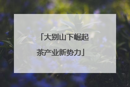 大别山下崛起茶产业新势力
