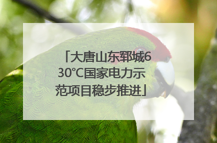 大唐山东郓城630℃国家电力示范项目稳步推进