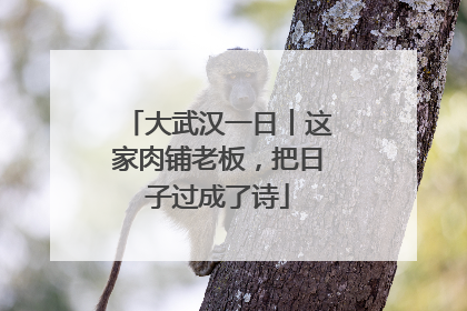大武汉一日︱这家肉铺老板，把日子过成了诗