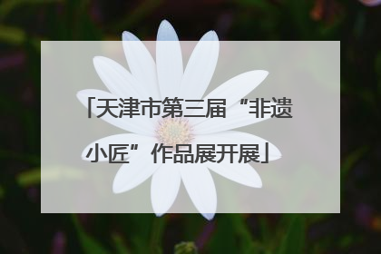 天津市第三届“非遗小匠”作品展开展