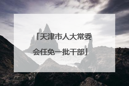 天津市人大常委会任免一批干部