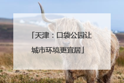 天津：口袋公园让城市环境更宜居