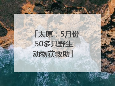 太原：5月份 50多只野生动物获救助