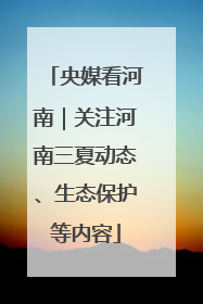 央媒看河南｜关注河南三夏动态、生态保护等内容