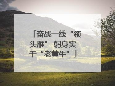 奋战一线“领头雁” 躬身实干“老黄牛”