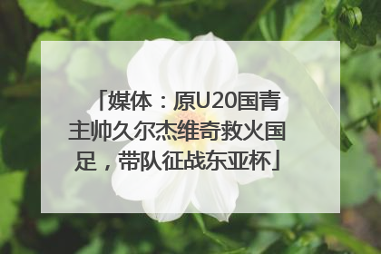 媒体：原U20国青主帅久尔杰维奇救火国足，带队征战东亚杯