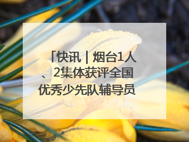 快讯｜烟台1人、2集体获评全国优秀少先队辅导员、集体荣誉称号