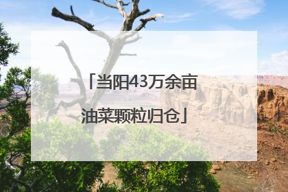 当阳43万余亩油菜颗粒归仓