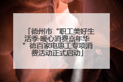 德州市“职工美好生活季·暖心消费嘉年华”德百家电惠工专项消费活动正式启动