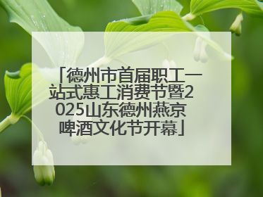 德州市首届职工一站式惠工消费节暨2025山东德州燕京啤酒文化节开幕