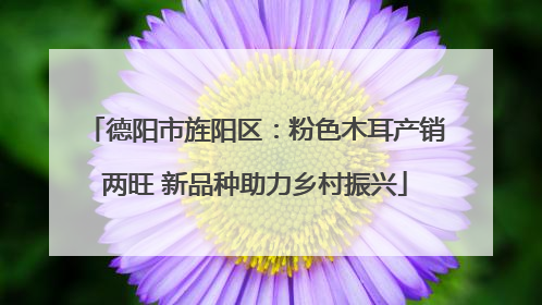 德阳市旌阳区：粉色木耳产销两旺 新品种助力乡村振兴
