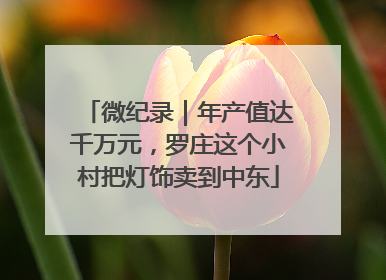 微纪录｜年产值达千万元，罗庄这个小村把灯饰卖到中东