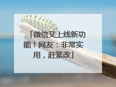 微信又上线新功能！网友：非常实用，赶紧改