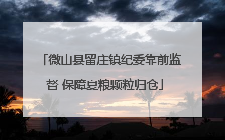 微山县留庄镇纪委靠前监督 保障夏粮颗粒归仓
