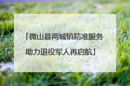 微山县两城镇精准服务助力退役军人再启航