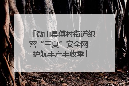 微山县傅村街道织密“三夏”安全网 护航丰产丰收季