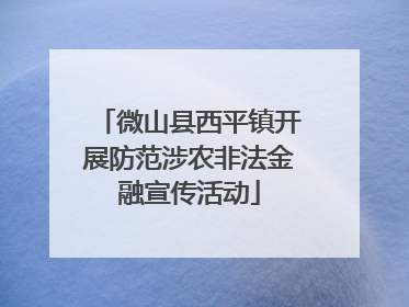 微山县西平镇开展防范涉农非法金融宣传活动