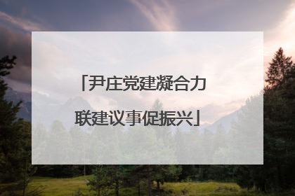 尹庄党建凝合力 联建议事促振兴
