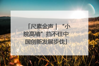 尺素金声｜“小院高墙”挡不住中国创新发展步伐