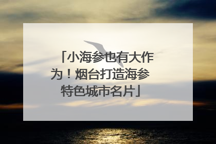 小海参也有大作为！烟台打造海参特色城市名片