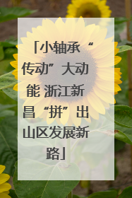小轴承“传动”大动能 浙江新昌“拼”出山区发展新路