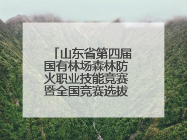 山东省第四届国有林场森林防火职业技能竞赛暨全国竞赛选拔赛鸣锣开赛