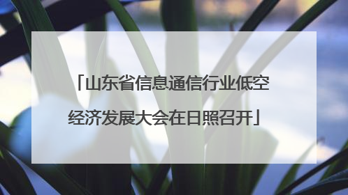 山东省信息通信行业低空经济发展大会在日照召开