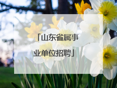 山东省属事业单位招聘