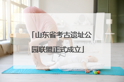 山东省考古遗址公园联盟正式成立