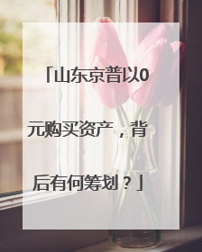 山东京普以0元购买资产，背后有何筹划？