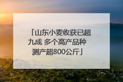 山东小麦收获已超九成 多个高产品种测产超800公斤
