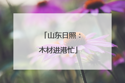 山东日照：木材进港忙