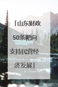 山东财政50条靶向支持民营经济发展