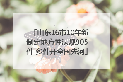 山东16市10年新制定地方性法规905件 多件开全国先河