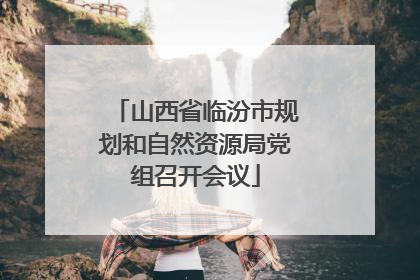 山西省临汾市规划和自然资源局党组召开会议