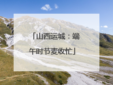 山西运城：端午时节麦收忙