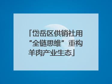 岱岳区供销社用“全链思维”重构羊肉产业生态