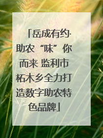 岳成有约·助农“味”你而来 监利市柘木乡全力打造数字助农特色品牌