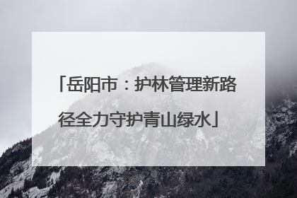 岳阳市：护林管理新路径全力守护青山绿水